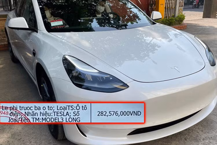 Dai gia vua dong 280 trieu truoc ba Tesla thi... phi giam 100%