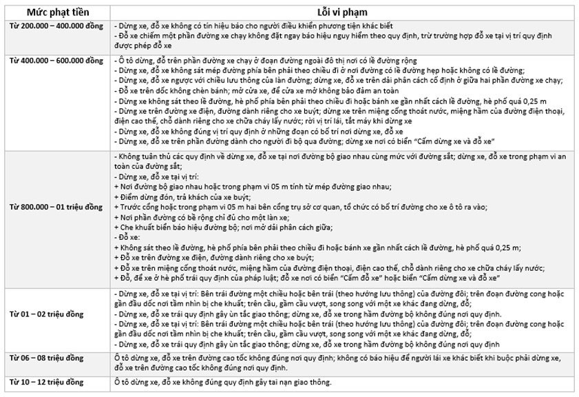 Dung do oto sai quy dinh co the bi phat tien toi 12 trieu dong-Hinh-2