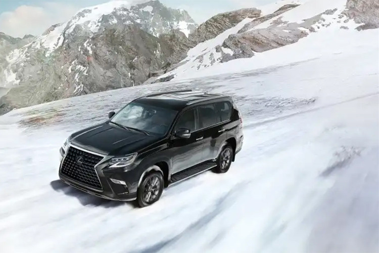 Hiện giá xe Lexus GX 2020 tại thị trường Mỹ vẫn chưa được công bố. Tại thị trường Việt Nam, Lexus GX chỉ có một bản trang bị là GX 460 với giá bán chính hãng 5,06 tỷ đồng.