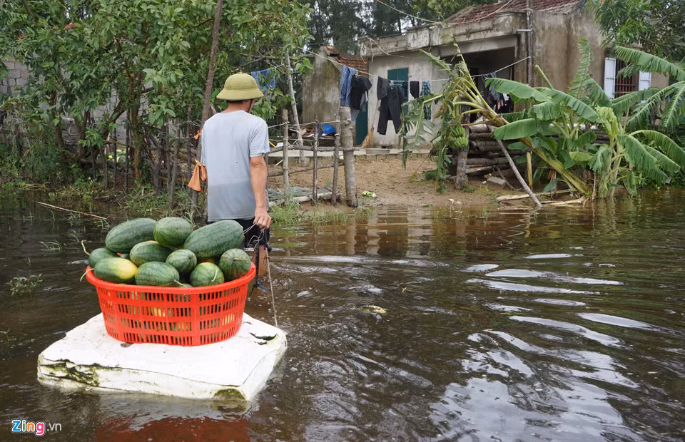 Sau khi phân loại, ông Xa chuyển số dưa còn nguyên quả về nhà. Sau khi phân loại, ông Xa chuyển số dưa còn nguyên quả về nhà.