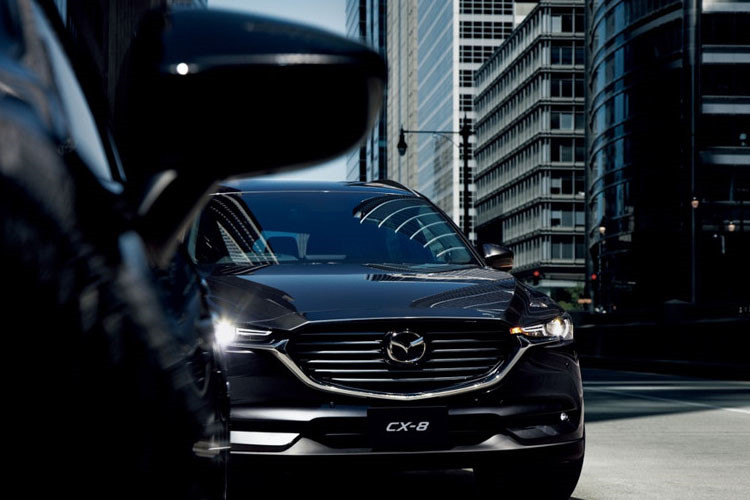 Nếu như mẫu xe SUV 7 chỗ Mazda CX-8 sẽ được THACO Trường Hải lắp ráp tại Việt Nam và dự kiến đến tay khách hàng vào tháng 6 năm nay, nó sẽ là đối thủ đáng gờm trong phân khúc khi cạnh tranh trực tiếp với Honda CR-V nhập khẩu từ Thái Lan và Hyundai Santa Fe 2019 lắp ráp tại Việt Nam.