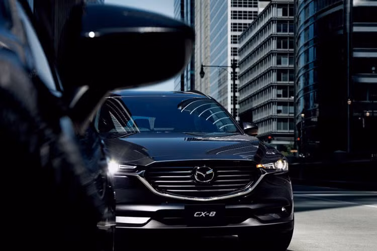 Nếu như mẫu xe SUV 7 chỗ Mazda CX-8 sẽ được THACO Trường Hải lắp ráp tại Việt Nam và dự kiến đến tay khách hàng vào tháng 6 năm nay, nó sẽ là đối thủ đáng gờm trong phân khúc khi cạnh tranh trực tiếp với Honda CR-V nhập khẩu từ Thái Lan và Hyundai Santa Fe 2019 lắp ráp tại Việt Nam.