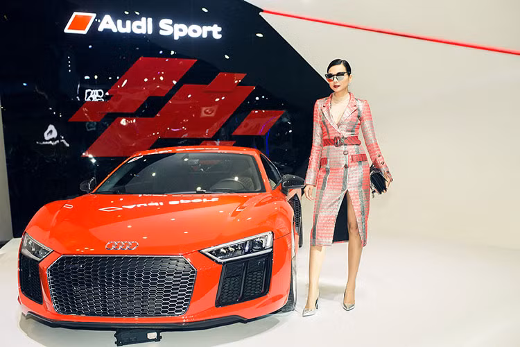 Gia nhập thị trường Việt Nam từ năm 2007, Audi mang tới những mẫu xe sang trọng, tinh tế và thể thao phiên bản mới nhất. Tất cả các mẫu xe Audi đều sử dụng động cơ mạnh mẽ cung cấp mô men xoắn cao kết hợp với cấu trúc thân xe siêu nhẹ cho cảm giác lái thoải mái và mức tiêu thụ nhiên liệu hiệu quả.