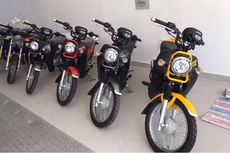 Mẫu xe Honda Cross Cub 110 là phiên bản mới được lấy cảm hứng tư dòng Honda Cub huyền thoại từng xuất hiện lần đầu dưới dạng concept tại triển lãm Tokyo Motor Show 2013, sau đó nó chính thức được đưa vào sản xuất một năm sau đó tại thị trường nội địa Nhật Bản.