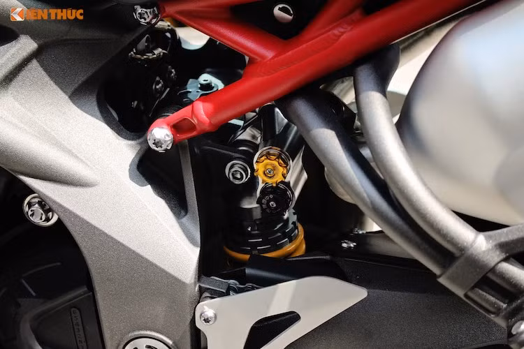 Ở phía sau, một đặc điểm để nhận biết Speed Triple R là bộ khung phụ phía sau được sơn màu đỏ nổi bật hơn. Bên dưới bộ khung này là cây phuộc "hàng hiệu" Ohlins TTX36, với núm chỉnh độ nảy (rebound) và độ nén của lò xo (compress). Hành trình của phuộc sau là 130 mm, trong khi phuộc trước là 120 mm.