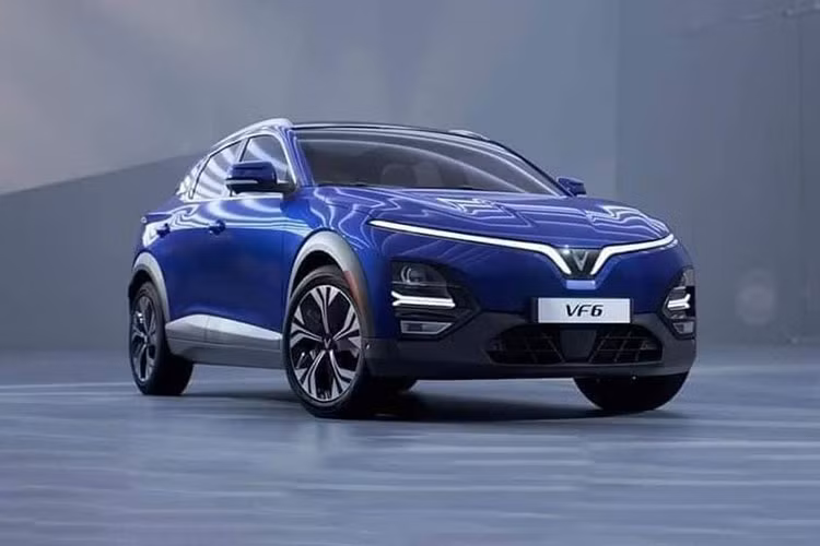 Hiện giá xe VinFast VF6 tại Việt Nam chưa được công bố. Tuy nhiên, một số tư vấn bán hàng cho biết mức giá VF6 dự kiến từ 600 triệu đồng. Ngoài ra một số nơi còn cho biết mức giá thuê pin dự kiến khoảng 2.2 triệu đồng cho một tháng sử dụng với định mức 1.700 km.