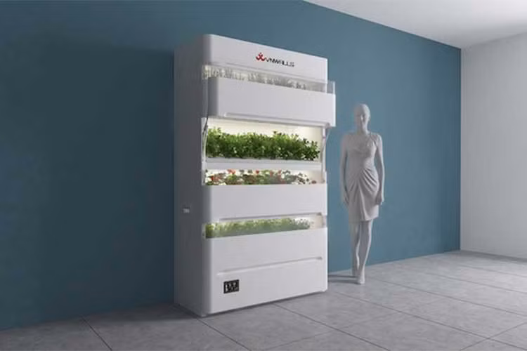 Tác phẩm VNWALLS GARDEN (Khu vườn trên tường của Việt Nam), thuộc nhóm VNWALLS {Nguyen Tien Phuoc (Việt Nam), Pham Anh Tuan (Việt Nam), Truong Ngoc Phu (Việt Nam)}:Máy nuôi trồng “khí canh”, phương pháp mới trong hoạt động canh tác nông nghiệp.