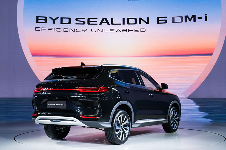 Xe sử dụng bộ pin lithium-sắt-photphat (LFP) Blade do chính hãng sản xuất. Với dung lượng 18,3 kWh, Sealion 6 có khả năng di chuyển 92 km ở chế độ thuần điện. Tổng quãng đường kết hợp khi sạc đầy pin và đổ đầy xăng là 1.092 km.