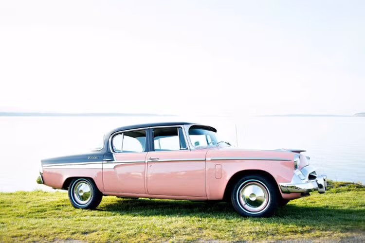 Rủi thay công ty không thể tồn tại, những mẫu Studebaker cuối cùng được sẩn xuất là năm 1966. Mẫu xe này có nhiều nét tương đồng và gẫn gũi với các mẫu xe Ford.