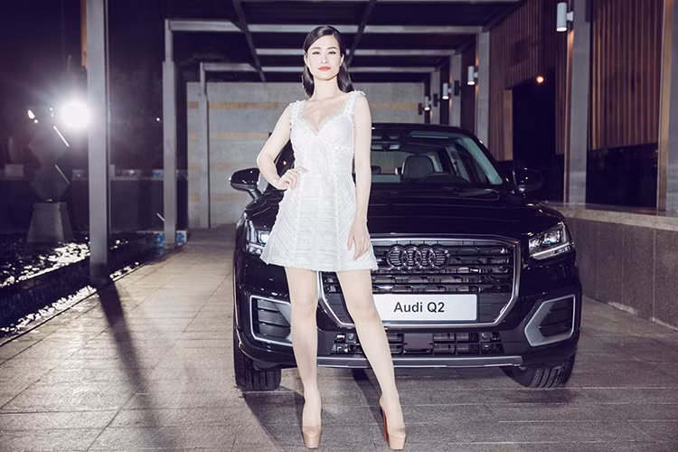 Tại thị trường Việt Nam, mẫu xe Audi Q5 hoàn toàn mới này sẽ là đối thủ trực tiếp của BMW X3, Lexus RX200t và nhất là mẫu xe đình đám đang bán chạy nhất hiện nay Mercedes-Benz GLC. Theo đại diện Audi Việt Nam, Q5 là xe bán chạy nhất của hãng vào năm ngoái, với khoảng 300 xe trên tổng số 800 xe các loại.
