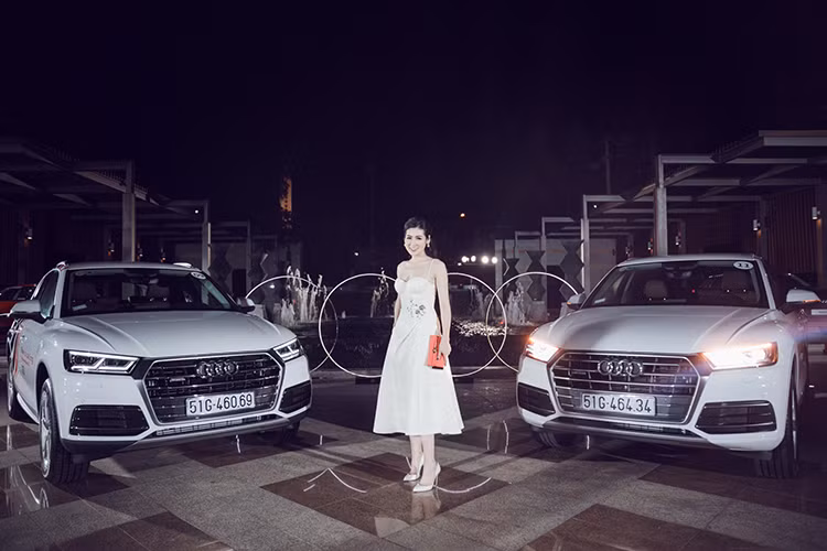 Dàn đại sứ thương hiệu gồm: Người mẫu, diễn viên, MC Bình Minh (Đại sứ thương hiệu Audi Q5); Ca sĩ Đông Nhi (Audi A3 Sportback); Ca sĩ Noo Phước Thịnh (Audi A3 Sedan); Á hậu Việt Nam 2012 Dương Tú Anh (Audi A4); Siêu mẫu Thanh Hằng (Audi A6); Nghệ sĩ múa Linh Nga (Audi A8); Cựu người mẫu, MC Thúy Hạnh cùng nhạc sĩ Minh Khang (Đại sứ Quỹ từ thiện Audi).