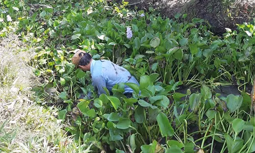 Con bac' nhay xuong kenh thao chay khi canh sat pha truong ga-Hinh-2