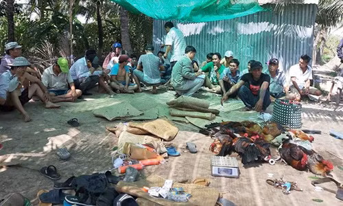 Con bac' nhay xuong kenh thao chay khi canh sat pha truong ga