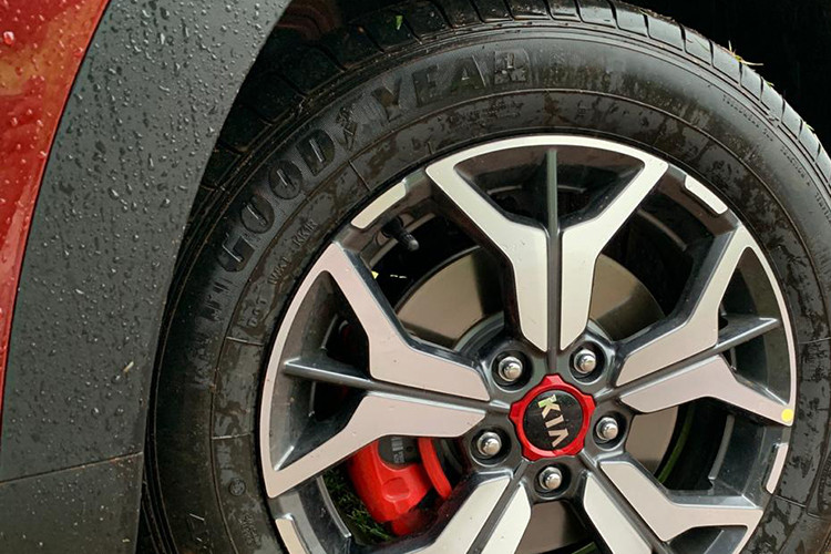 Không chỉ riêng tại Ấn Độ mà ngay cả ở thị trường quê nhà Hàn Quốc, Kia Seltos 2020 cũng đã có những thành công bước đầu. Sau 8 ngày ra mắt tại Hàn Quốc vào giữa tháng 7/2019, đã có hơn 3.000 khách hàng đặt cọc mua Kia Seltos 2020 khiến nó trở lên "hot" hơn bao giờ hết.