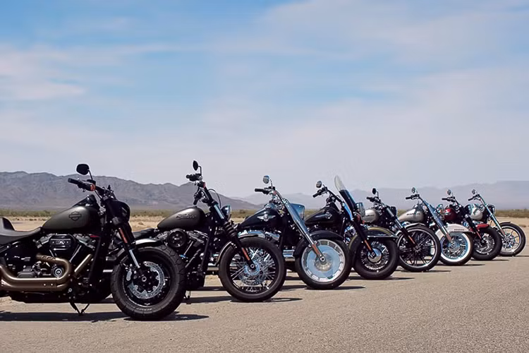 Các mẫu xe bao gồm: Street Bob "giá rẻ", Deluxe cổ điển, Fat Boy bánh béo, Heritaga Classic cho hành trình dài, Slim siêu nhẹ, Breakout thời trang, Fat Bob hầm hố và Low Rider có yên xe thấp. Trong đó, Street Bob, Low Rider và Fat Bob trước đây vốn thuộc dòng Harley-Davidson Dyna.