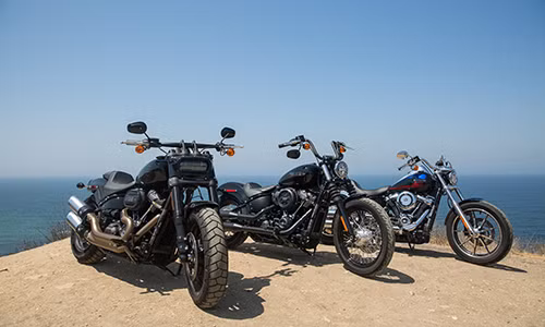 Ở thế hệ mới, mẫu xe Harley-Davidson Softail được cải tiến mạnh mẽ ở cả thiết kế và động cơ. Với lần nâng cấp này, Harley-Davidson cũng gộp cả hai sản phẩm Dyna và Softail thành Softail. 8 phiên bản vừa ra mắt tại Mỹ hồi tháng 8 vừa qua cũng sẽ góp mặt tại triển lãm VIMS 2017.