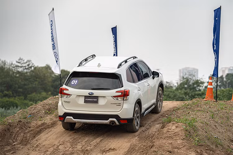 Cung Subaru off-road 10 dang dia hinh kho ngay tai thu do Ha Noi-Hinh-2