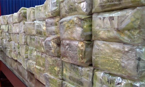 TP HCM: Trac tang tap the trong biet thu co cho du-Hinh-2