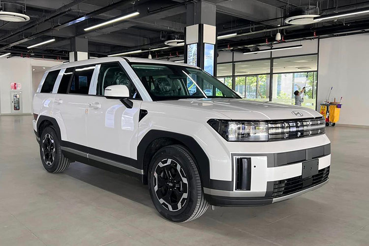 Hyundai SantaFe 2024 moi ra mat Viet Nam da lien tuc loan gia