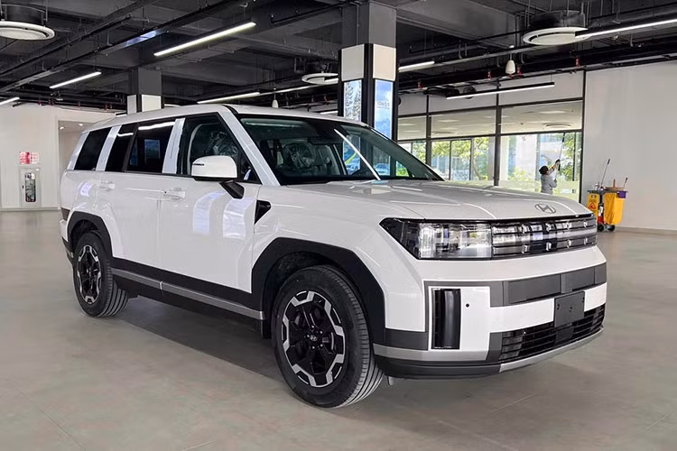 Hyundai SantaFe 2024 moi ra mat Viet Nam da lien tuc loan gia