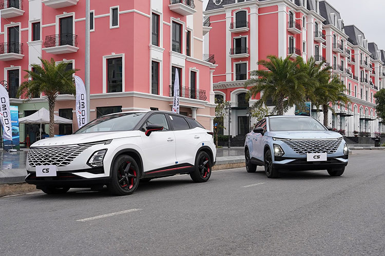 Loat oto Trung Quoc un un do bo vao Viet Nam-Hinh-3