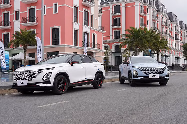 Loat oto Trung Quoc un un do bo vao Viet Nam-Hinh-3