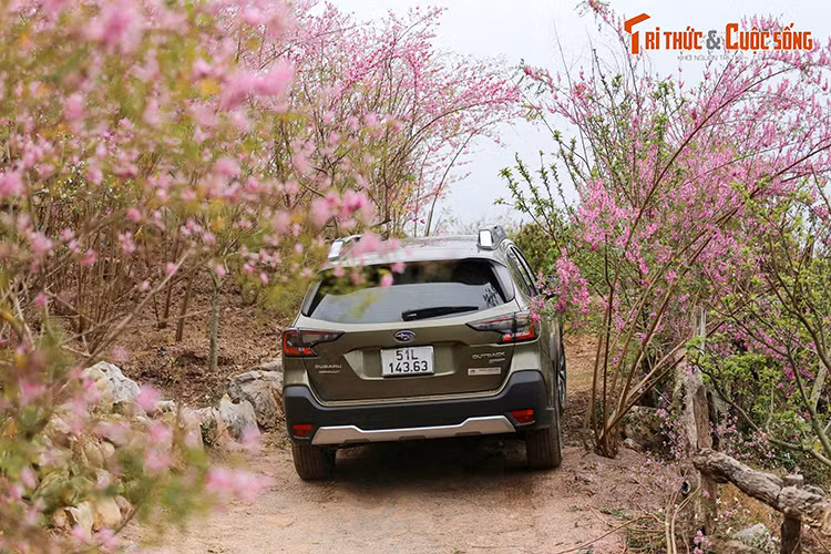 Subaru Outback tai Viet Nam - an toan va vung ben cho nguoi su dung-Hinh-4