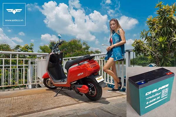 Chilwee sản xuất ắc-quy riêng theo đơn đặt hàng của Anbico cũng giống như Total sản xuất loại dầu nhớt riêng cho xe ôtô Nissan vậy.