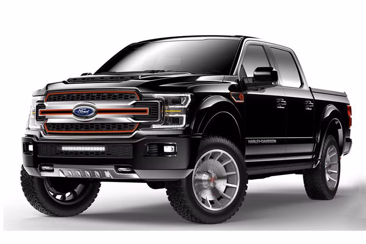 Được biết, phiên bản concept Ford F-150 đặc biệt này được tạo ra để kỷ niệm 115 ngày thành lập của Harley-Davidson. Hiện mẫu xe nói trên được trưng bày ở bảo tàng Harley-Davidson tại Milwaukee, Wisconsin, Mỹ.