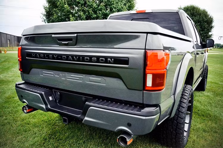 Để nhấn mạnh đây là phiên bản của chiếc siêu bán tải Ford F-150 Harley-Davidson, các nhà thiết kế còn trang bị cho xe ốp gầm trước, bậc cửa độ và tấm che thùng và nhiều chi tiết có logo của Harley-Davidson.