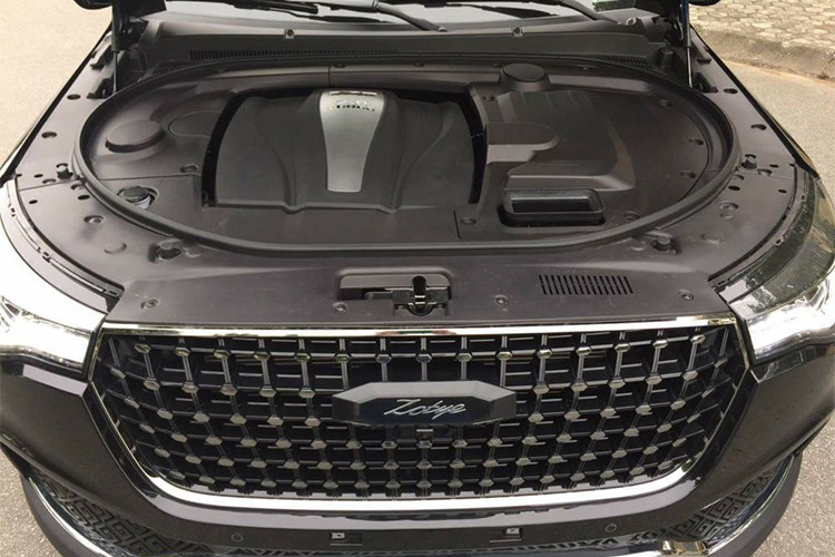 Zoyte Z8 2.0 Turbo đang được phân phối tại Việt Nam với giá bán 728 triệu đồng (đã bao gồm VAT và lệ phí trước bạ). Tuy nhiên, so với các đối thủ cùng phân khúc nhiều người nhận định nó sẽ "khó sống" tại Việt Nam do nhiều điều kiện khác nhau, đặc biệt là mác xe "Tàu" vốn luôn được người tiêu dùng cẩn trọng khi "móc ví".