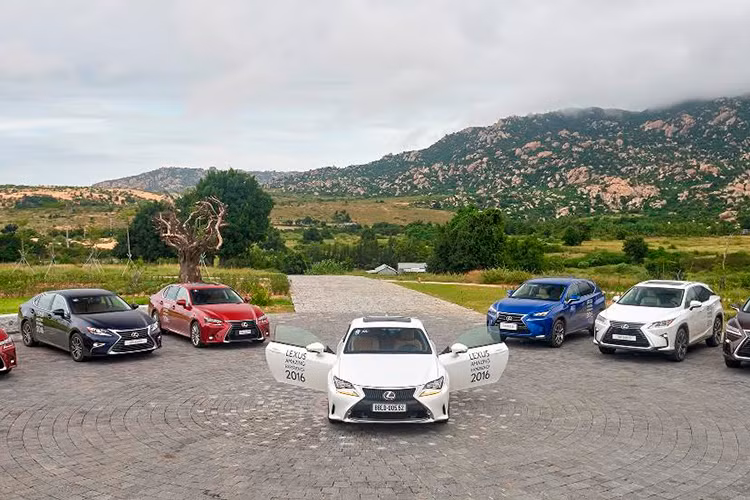 Từ thời điểm đó, Lexus liên tục mở rộng danh mục sản phẩm của mình để đáp ứng nhu cầu của các khách hàng hạng sang toàn cầu. Từ việc giới thiệu nhiều mẫu xe tiên phong - kiểu xe SUV đầu tiên kết hợp hoàn hảo giữa sự linh hoạt của một chiếc xe thể thao đa dụng và sự thoải mái tiện nghi của một chiếc sedan sang trọng đến mẫu xe sang đầu tiên trên thế giới sử dụng công nghệ bio-PET (nhựa sinh thái cao cấp)...