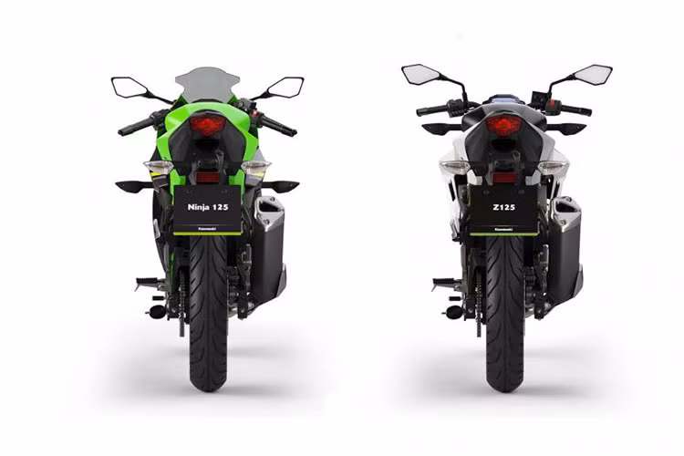 So với các phiên bản 250, Ninja 125 và Z125 chỉ khác biệt ở thiết kế tem và các phiên bản màu sắc. Chúng đều sử dụng chung nền tảng khung trellis thép ống, cũng như có dàn đuôi, chắn bùn và bình xăng y hệt.