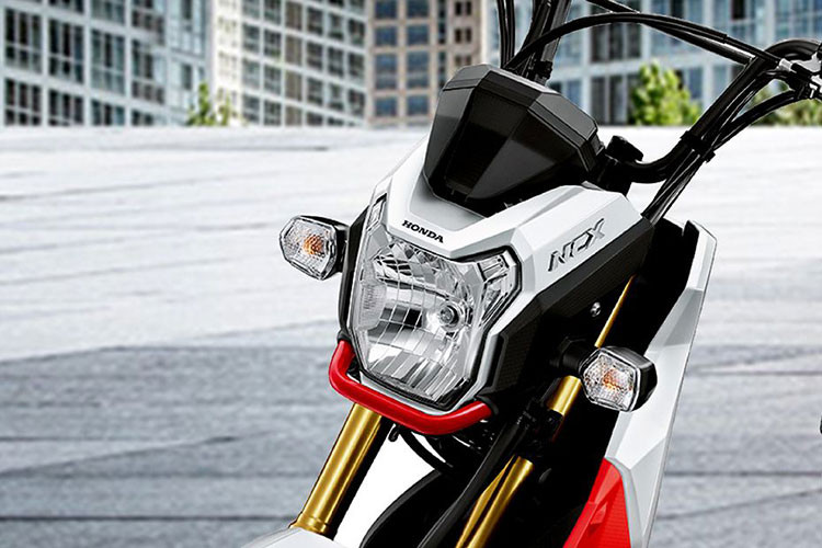 Phần đầu của mẫu xe tay ga mới này vẫn được trang bị đèn pha bản lớn cùng xi-nhan tách rời hai bên nhưng được trang bị thêm hàm quây bảo vệ phía trước. Thiết kế này có nhiều điểm tương đồng với Honda MSX.