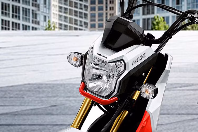 Phần đầu của mẫu xe tay ga mới này vẫn được trang bị đèn pha bản lớn cùng xi-nhan tách rời hai bên nhưng được trang bị thêm hàm quây bảo vệ phía trước. Thiết kế này có nhiều điểm tương đồng với Honda MSX.