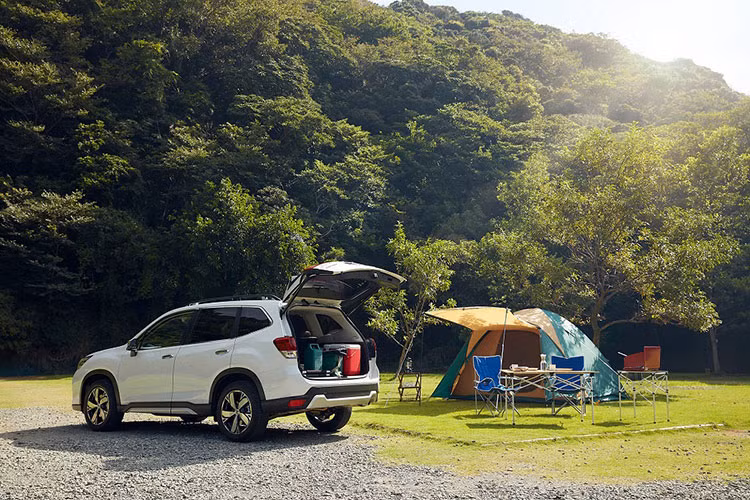 Subaru Forester bat ngo giam soc, toi 230 trieu tai Viet Nam-Hinh-3