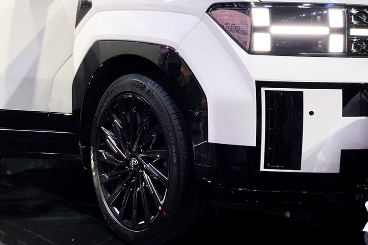 Khu vực gây tranh cãi nhất về mặt thiết kế của mẫu SUV hạng trung này chính là phía sau. Tại đây, xe được trang bị cửa cốp phẳng và lớn hơn thế hệ cũ. Sở dĩ hãng Hyundai chọn thiết kế cửa cốp này là để mở rộng khoang hành lý, tăng sự thực dụng cho Santa Fe thế hệ thứ 6.