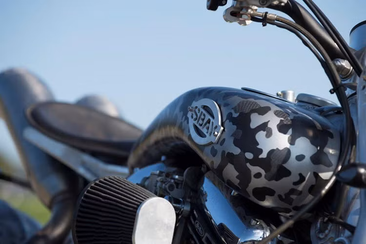 Hệ động lực của Sbay luôn là kiểu động cơ V-Twin và khách hàng có thể chọn từ các thương hiệu môtô khác nhau.