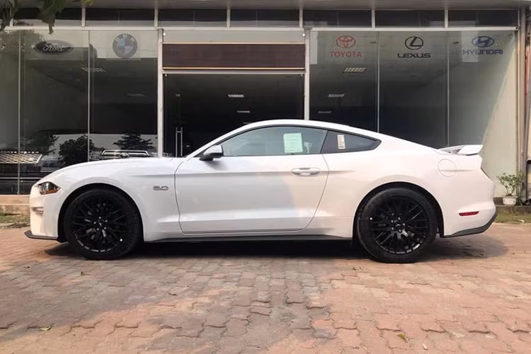 Về ngoại hình, Ford Mustang GT 5.0 2019 vẫn mang những nét thể thao đầy cơ bắp đặc trưng và kích thước không thay đổi. Tuy nhiên so với với thế hệ trước, GT phiên bản mới đã được tinh chỉnh lại ở một số điểm.