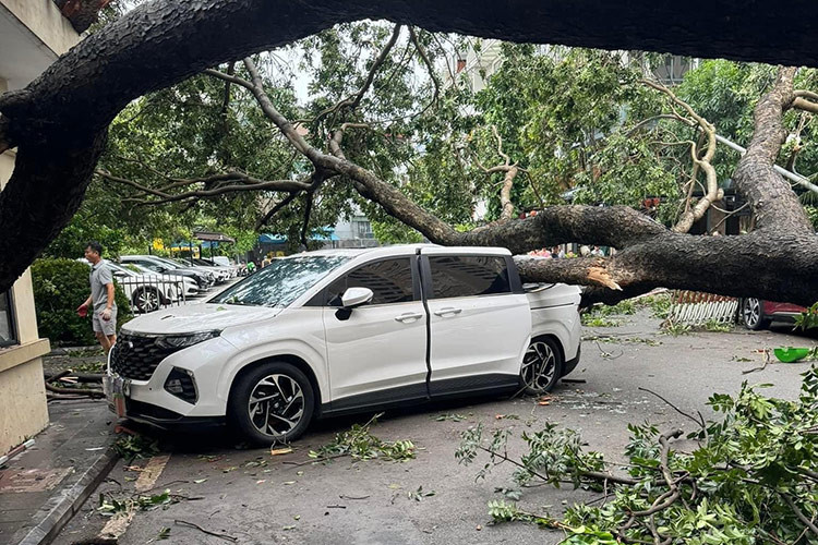 Cành cây lớn đè vào chiếc ôtô trên con phố chính ở Hà Nội sau bão số 3.