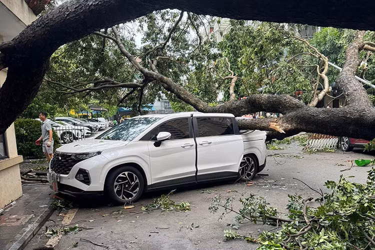Cành cây lớn đè vào chiếc ôtô trên con phố chính ở Hà Nội sau bão số 3.