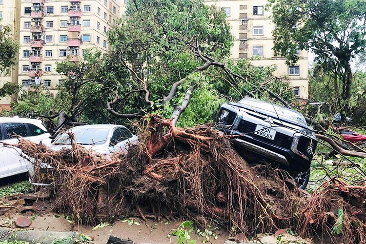 Đi dọc các tuyến phố tại Hà Nội sau khi cơn bão số 3 quét qua, rất dễ dàng bắt gặp cảnh hàng loạt ôtô bị bẹp, bung, móp, méo... do để dọc lề đường.