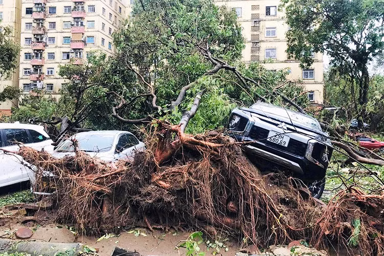 Đi dọc các tuyến phố tại Hà Nội sau khi cơn bão số 3 quét qua, rất dễ dàng bắt gặp cảnh hàng loạt ôtô bị bẹp, bung, móp, méo... do để dọc lề đường.