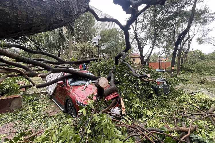 Siêu bão Yagi với sức gió lớn, độ tàn phá cao đã gây thiệt hại nặng nề cho không ít tài sản và phương tiện ôtô. Thời điểm này, việc đền bù thiệt hại từ các công ty bảo hiểm trở thành vấn đề mà nhiều chủ xe quan tâm nhất.