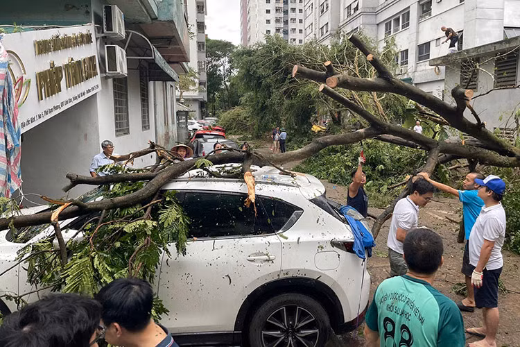 Theo nhiều người dân cho biết, mặc dù đã rất cẩn thận để xe ở xa gốc cây, nơi khuất gió nhưng vẫn bị ảnh hưởng ở mức không ngờ tới.