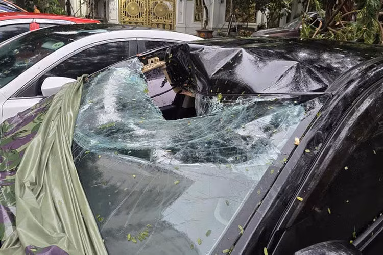 Đặc biệt tại khu đô thị Linh Đàm, hàng chục ôtô bị biến dạng do cây đổ, nhiều xe bị gãy ngang thân. Sau khi trời sáng, nhiều chủ xe đã dùng dao và cưa máy để chặt cây, cố gắng giải cứu tài sản của mình.