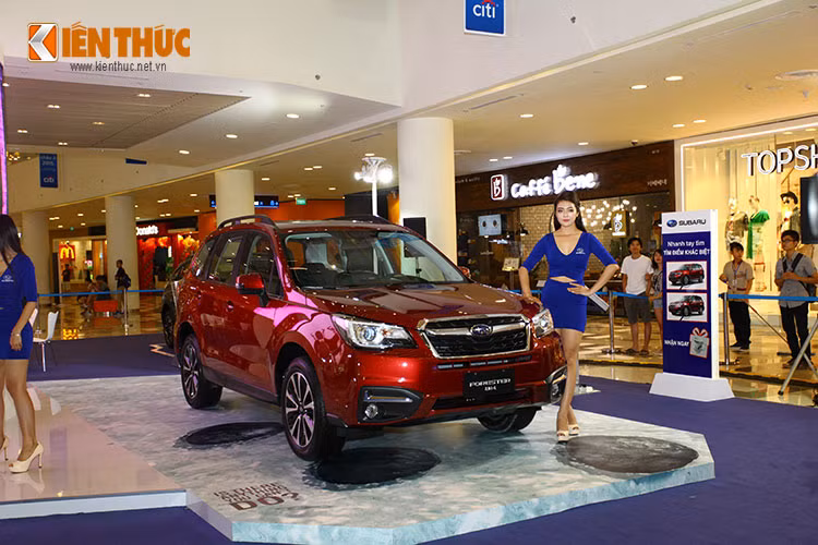 Theo đại diện Subaru cho biết, hiện hãng xe này đã nhận được 27 đơn đặt hàng trong vòng 2 tuần, kể từ khi Forester được nhập về Việt Nam.