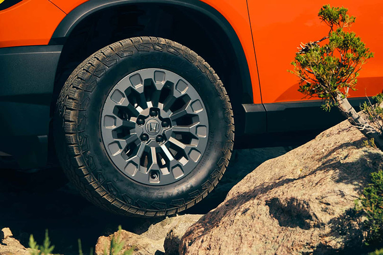 Honda cũng đã mở rộng danh mục phụ kiện của mình với các trang bị như tấm ốp gầm, giá nóc và tấm chắn bùn bằng nhôm hay bàn dã ngoại có thể gập lại. Biến thể TrailSport lần đầu tiên được giới thiệu vào năm 2022, với nỗ lực ban đầu mang đến cho Passport một diện mạo mới với lớp ốp nhựa bổ sung, màu sắc độc đáo, lốp xe đa mùa và tấm chắn trượt giả.