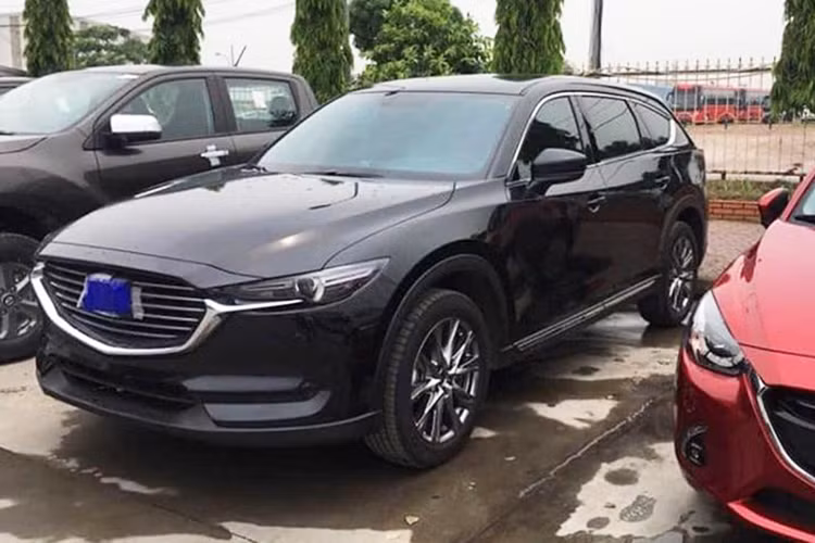 Dự kiến, giá xe Mazda CX-8 tại Việt Nam sẽ từ 1,1 tỷ đến 1,3 tỷ đồng. Theo đánh giá, mức bán ra này của nhà phân phối Thaco cũng khá hợp lý khi không cao hơn giá bán của Toyota Fortuner bản lắp ráp trong nước mới ra mắt. Ngoài ra, nó sẽ phải cạnh tranh với hai đối thủ lớn là Hyundai Santa Fe và Ford Everest đang khá vững tại thị trường ôtô Việt.