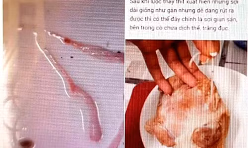 Thong tin sai su that tren facebook, mot phu nu bi phat 10 trieu dong